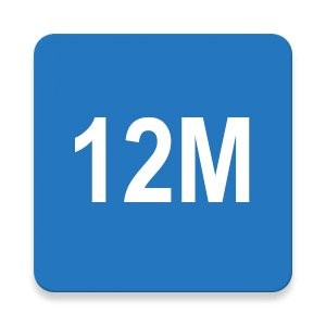 12 Mesi